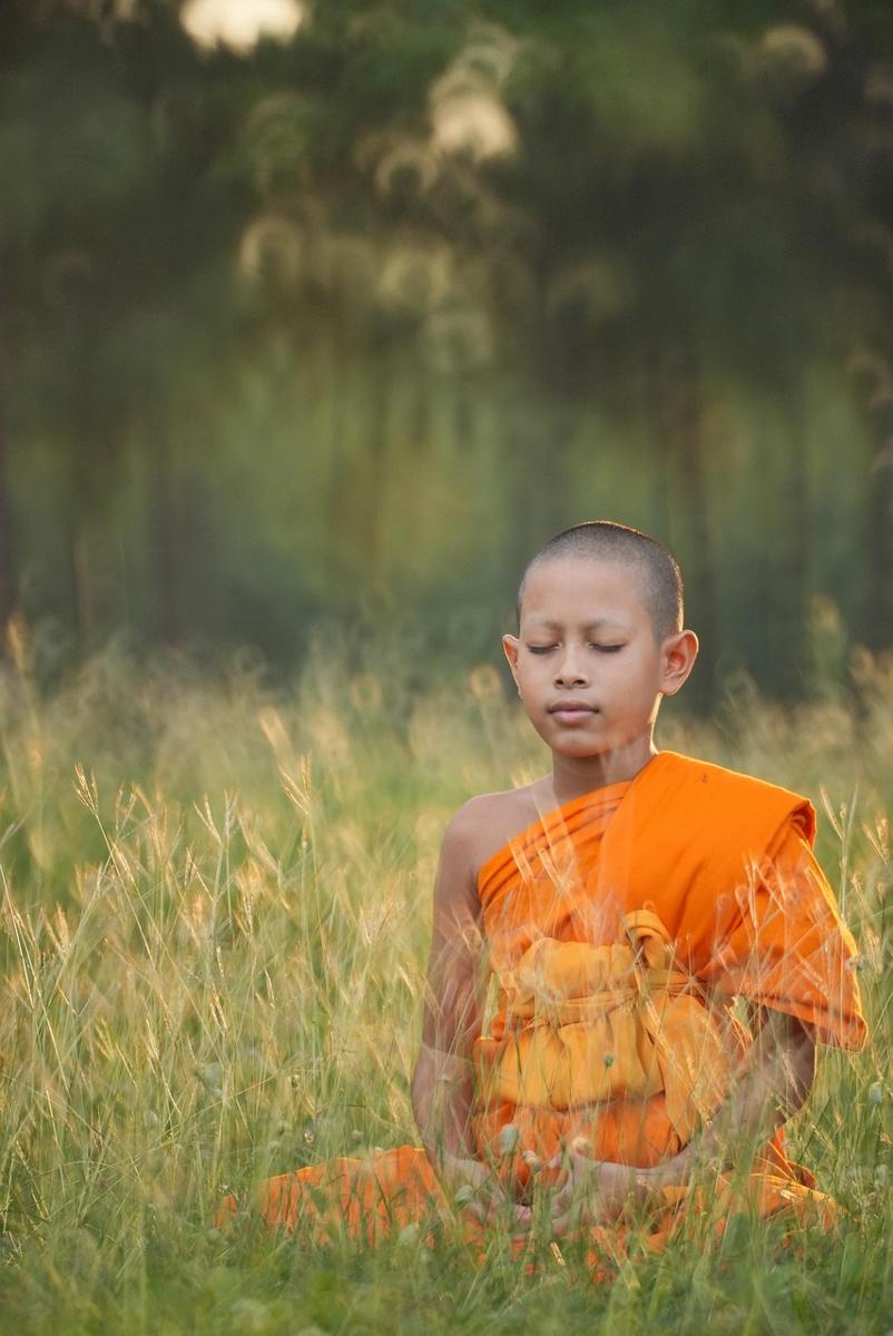 meditation nature